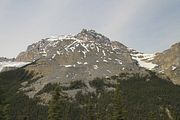 23 - Banff to Icefields - IMG_0938